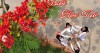 Khoảnh Khắc Kỷ Niệm