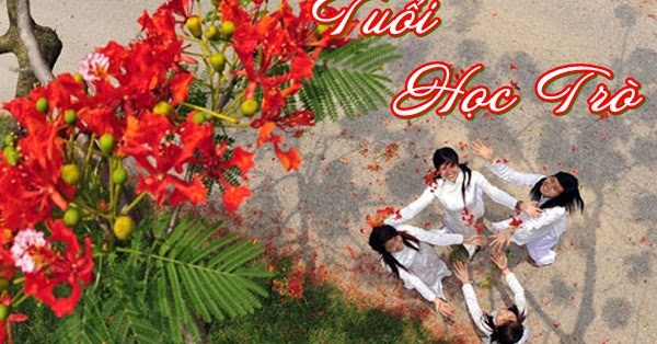 Khoảnh Khắc Kỷ Niệm