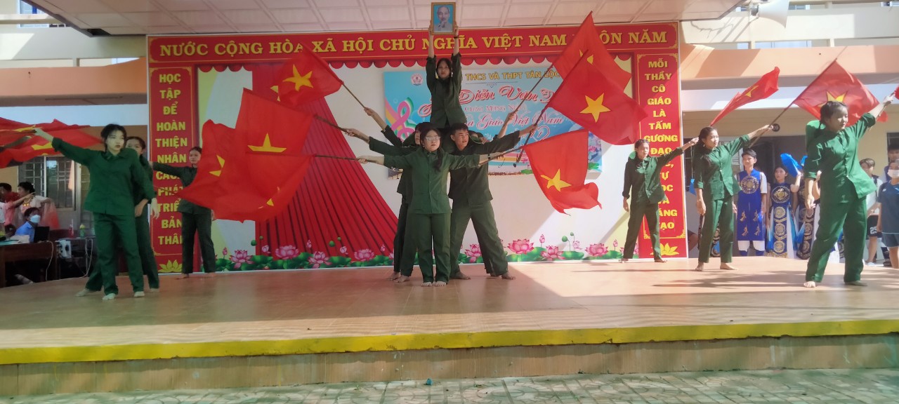 hình vn 7