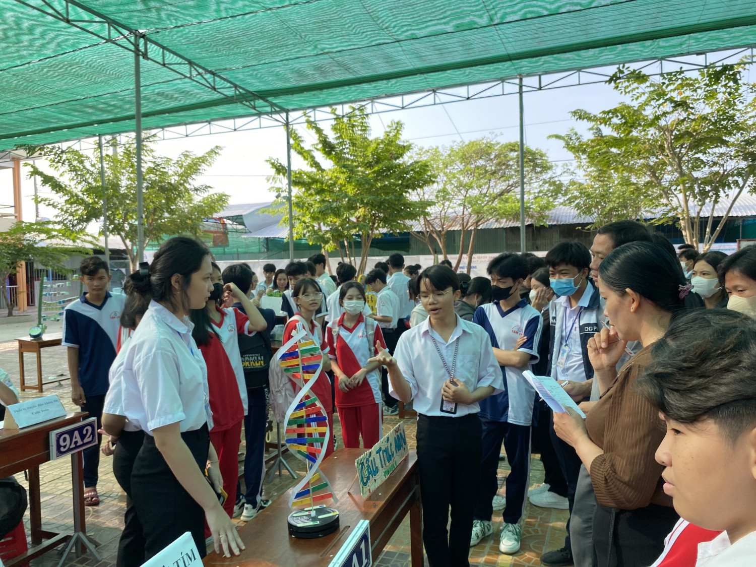 stem 10