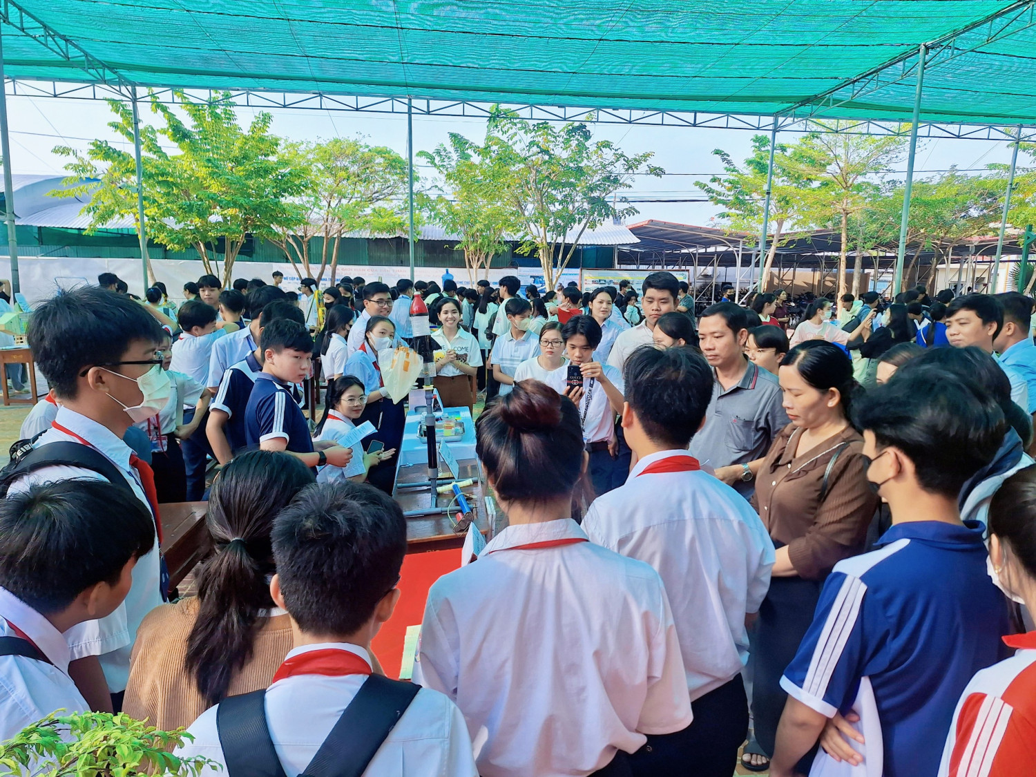 stem 11