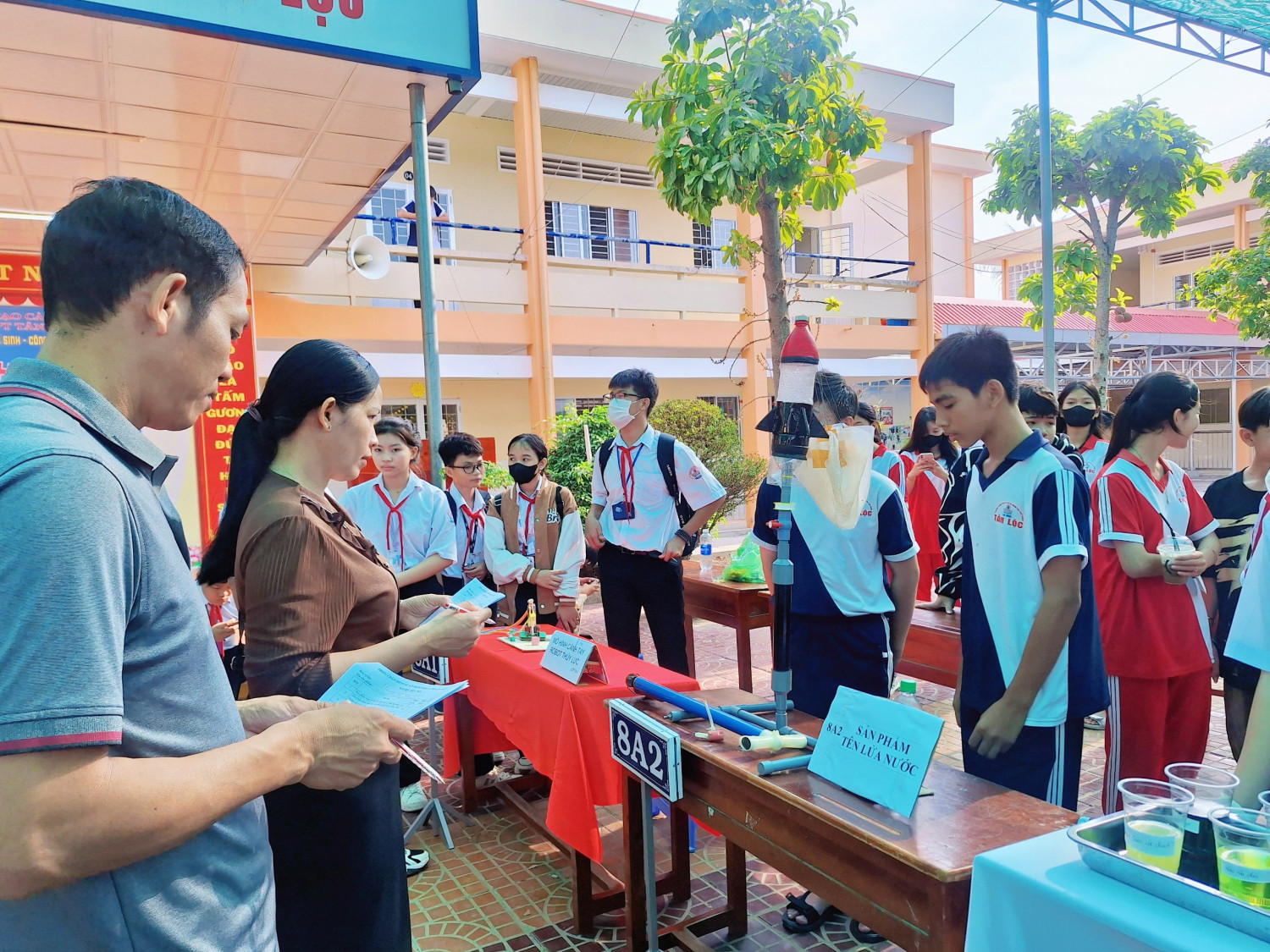 stem 12