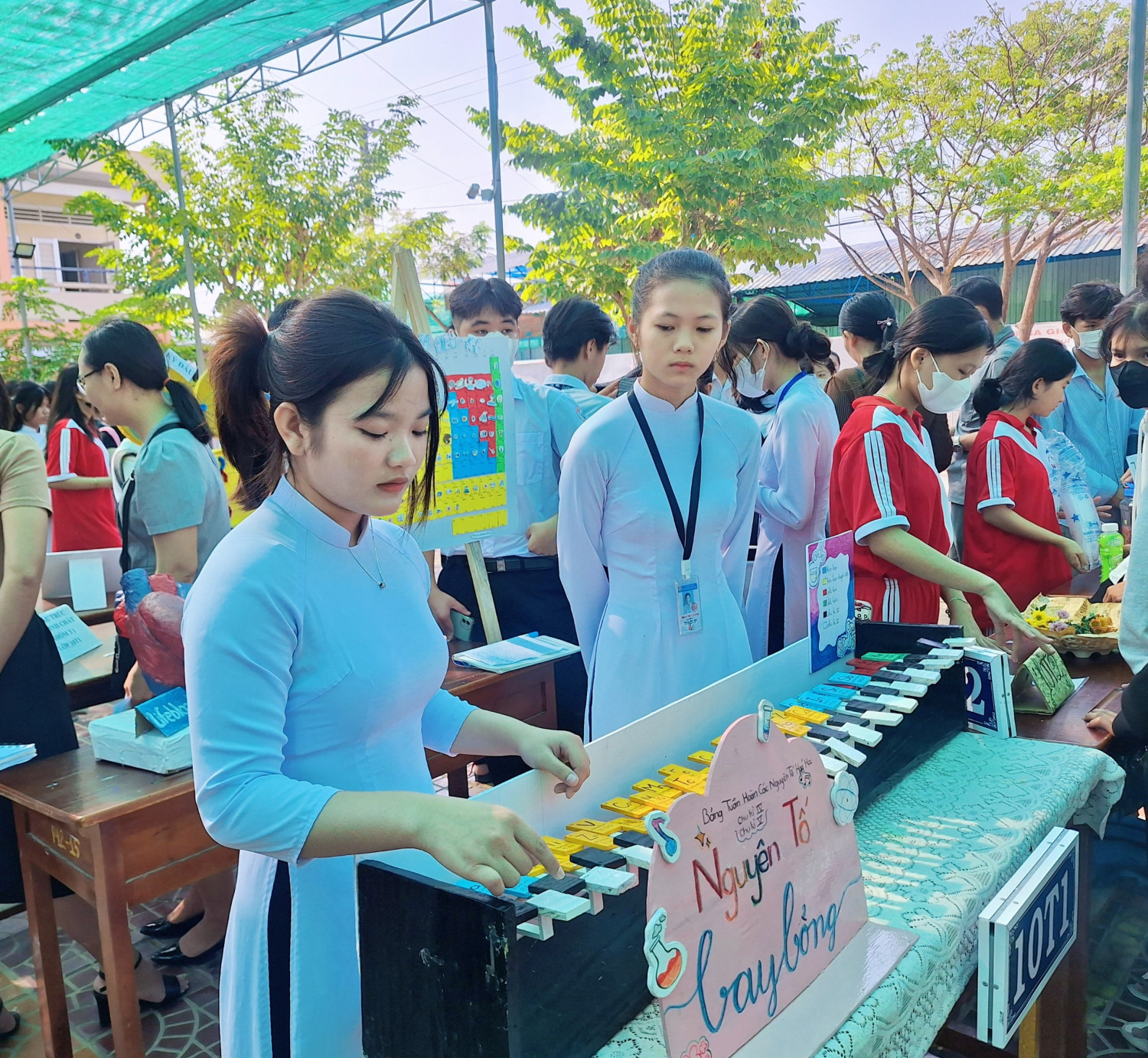 stem 13