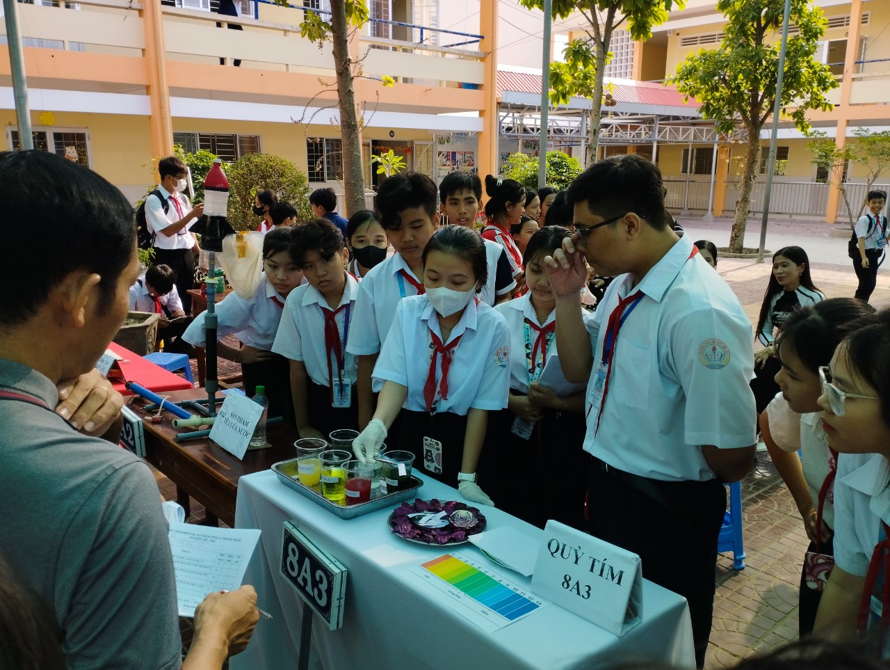 stem 4