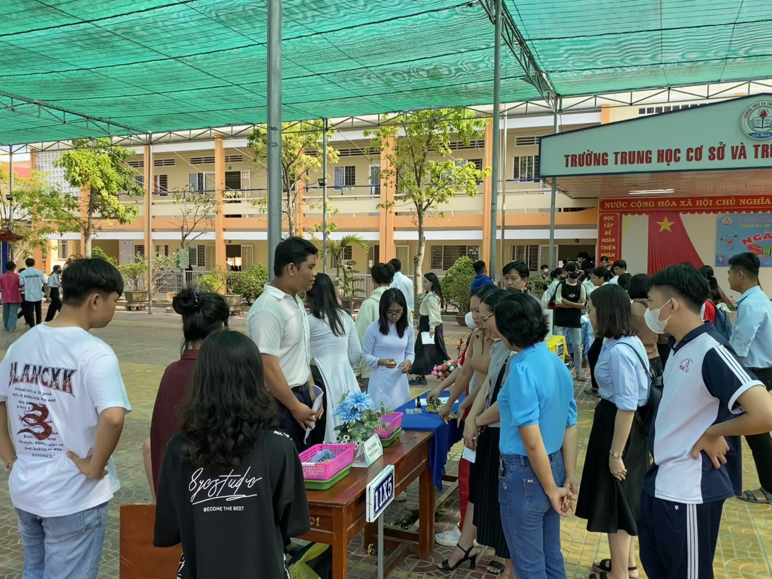 stem 6