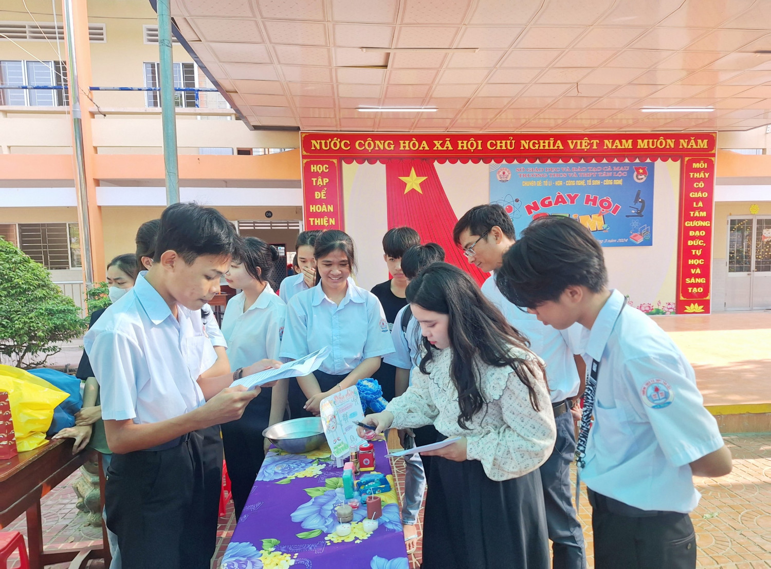 stem 7