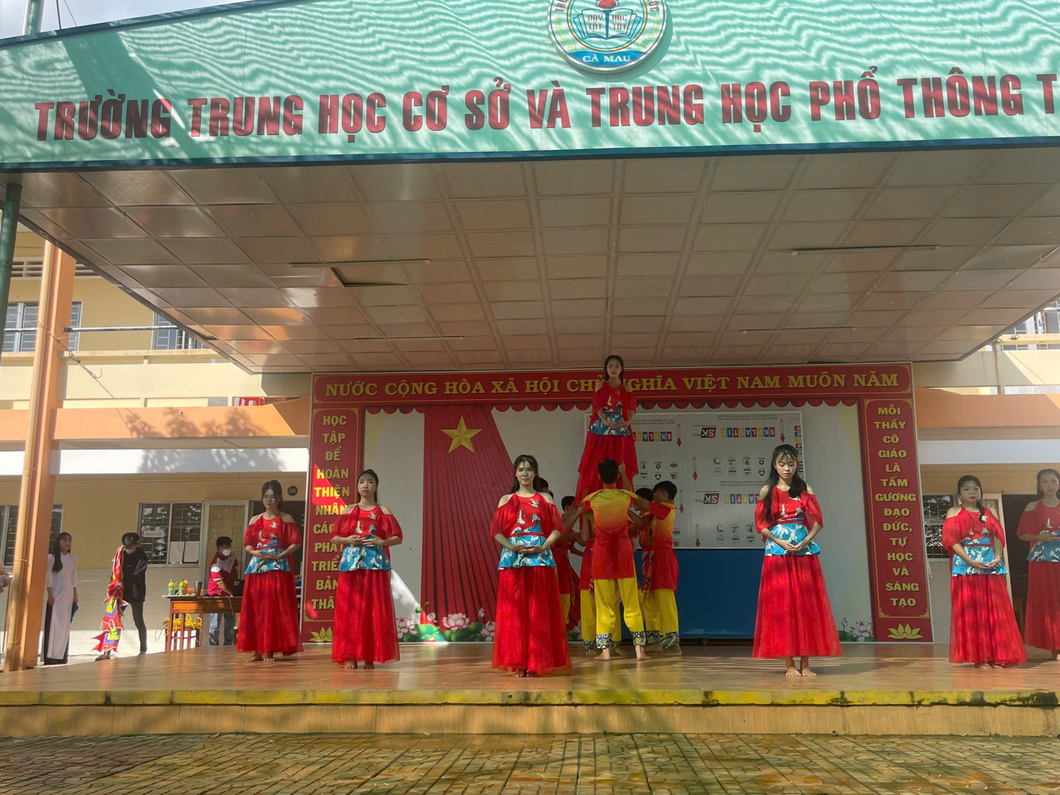 VN 6