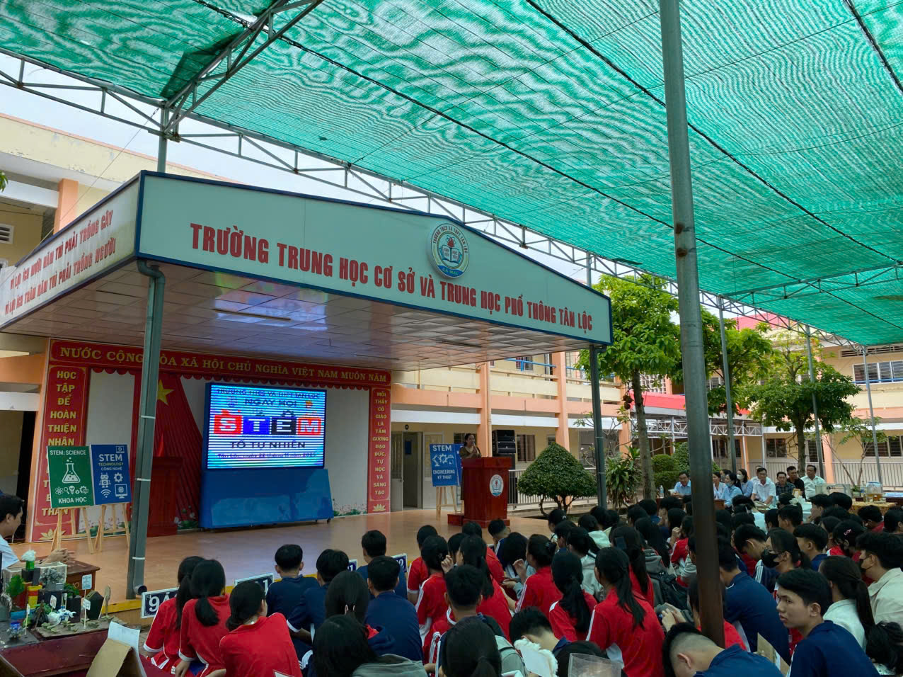 stem 3