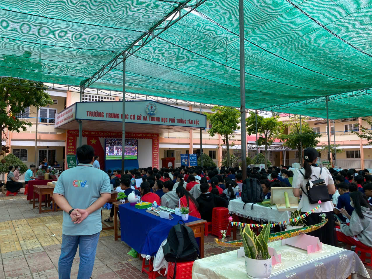 stem 6