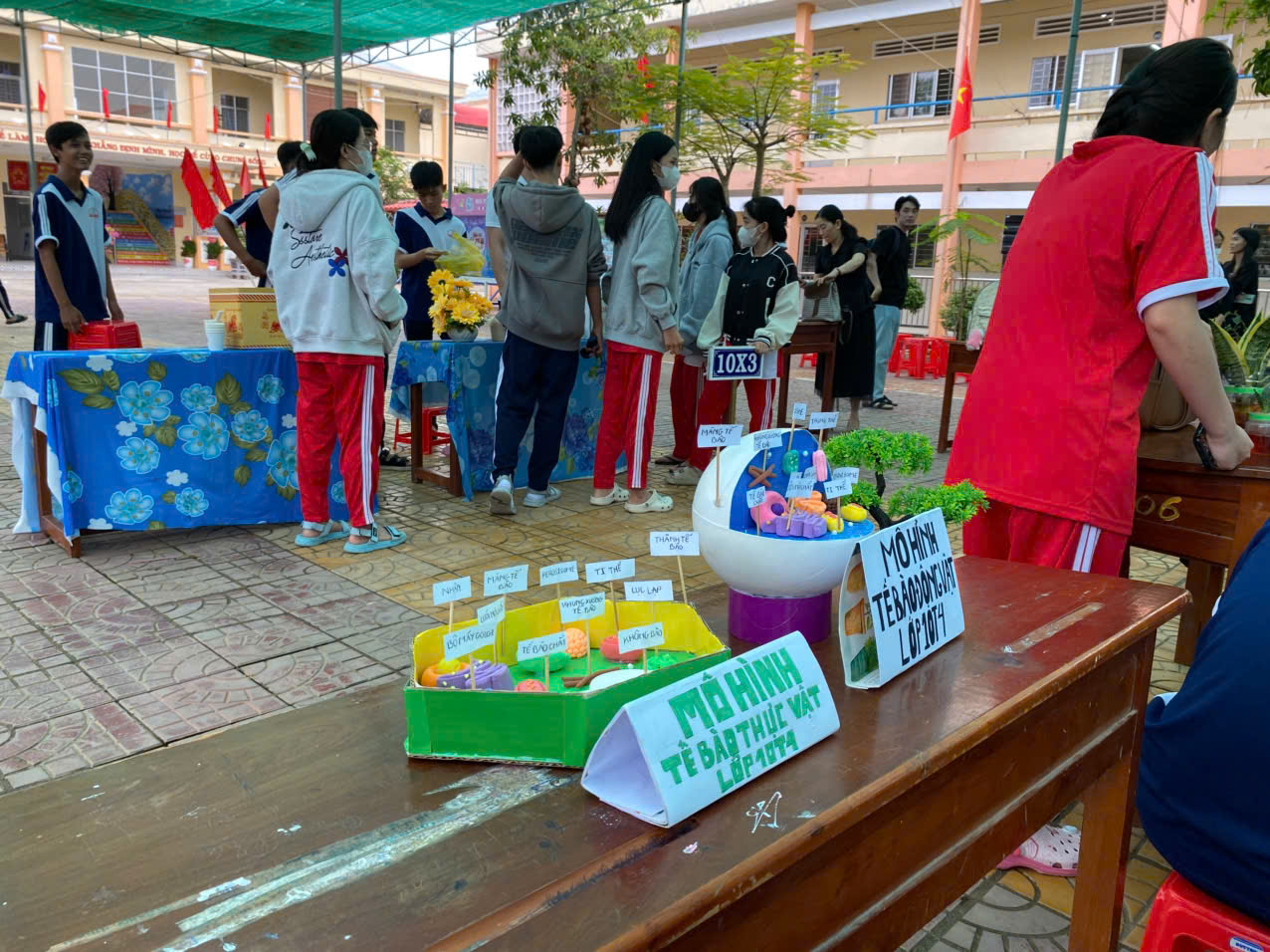 stem 9